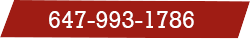 647-993-1786